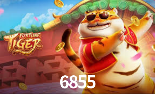 6855.Com